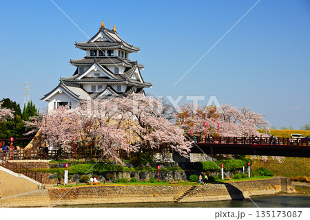 満開の桜と豊臣秀吉ゆかりの墨俣一夜城3 満開の桜と豊臣秀吉ゆかりの墨俣一夜城3 135173087