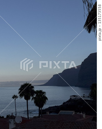 Twilight view of Tenerife coastline with palm trees, rugged cliffs and calm ocean waters in the background. Twilight view of Tenerife coastline with palm trees, rugged cliffs and calm ocean waters in the background. 135173558