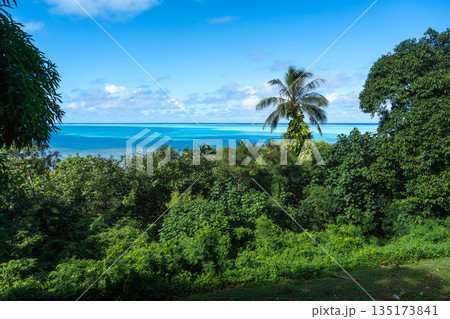 Coastal View and Ocean on Maupiti Island, French Polynesia Coastal View and Ocean on Maupiti Island, French Polynesia 135173841
