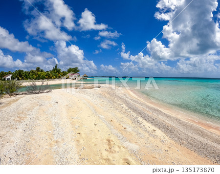 Dream beach in Tikehau, French Polynesia, with turquoise lagoon waters 135173870