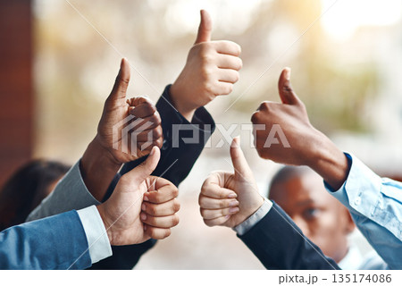Teamwork, hands and business people with thumbs up for success, team building and motivation. Group, hand gesture and like emoji for agreement, ok or excellence, support or solidarity for cooperation 135174086
