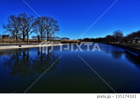 板倉水郷公園 板倉水郷公園 135174101