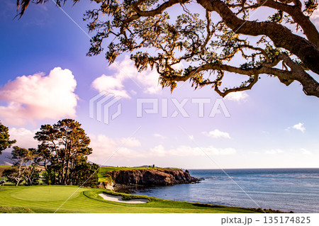 Pebble Beach golf course, Monterey, California, usa 135174825