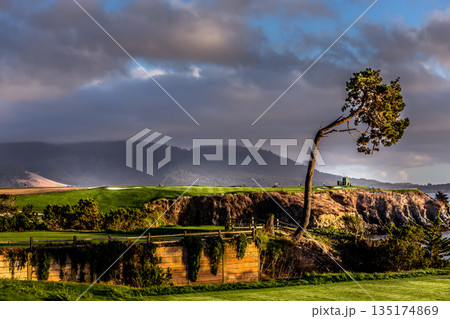 Pebble Beach golf course, Monterey, California, usa 135174869