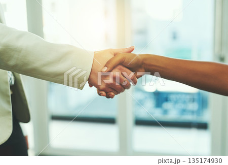 Handshake, success and hands of business people in office for onboarding, collaboration or agreement. Corporate, teamwork and and women shaking hand for thank you, welcome and hiring for recruitment 135174930