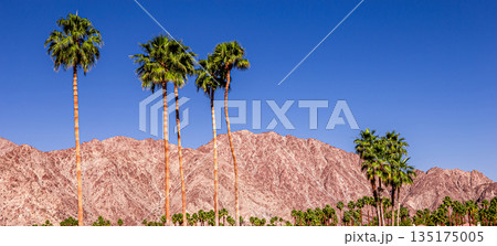 san jacinto mountain, palm springs, california 135175005