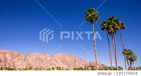san jacinto mountain, palm springs, california 135175014