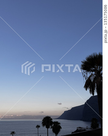 Dramatic view of a mountain cliff and palm trees above the ocean during dusk on Tenerife island. 135175086