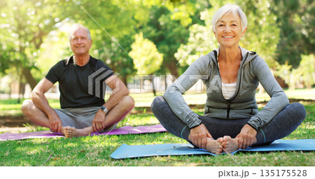 Portrait, meditation and senior couple in a park, yoga and happiness with exercise, zen or workout. Face, mature man or old woman outdoor, smile or fitness with wellness, balance or healthy lifestyle Portrait, meditation and senior couple in a park, yoga and happiness with exercise, zen or workout. Face, mature man or old woman outdoor, smile or fitness with wellness, balance or healthy lifestyle 135175528