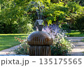 Water fountain features a creative design with splashing water, surrounded by lush greenery. 135175565