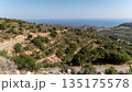 Explore the stunning landscape views of Crete Greece with winding roads and olive groves 135175578