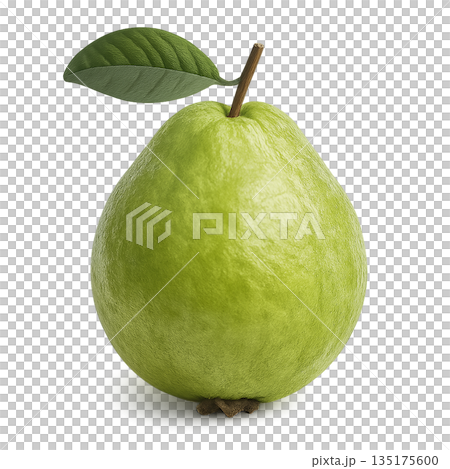 一幅逼真的番石榴剪紙插圖，背景透明。 135175600