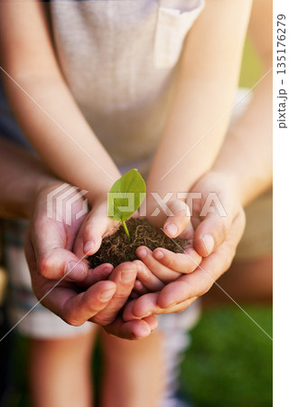 Environment, people holding a plant growing in soil and outdoors with lens flare. Ecology or sustainability, eco friendly or growth and hands of father with child hold green seedling with family 135176279
