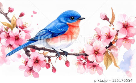 A charming wildlife illustration shows a brightly colored parrot with a vivid beak perched on a tropical branch surrounded by green leaves and flowers. A charming wildlife illustration shows a brightly colored parrot with a vivid beak perched on a tropical branch surrounded by green leaves and flowers. 135176554