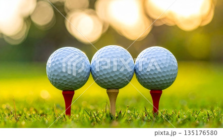 A close-up image of a white golf ball on a ball tee against a lush green lawn. 135176580
