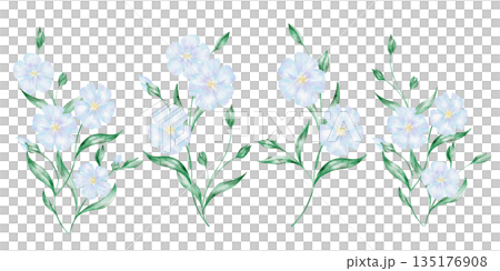 Green leaves and blue flax floral elements set, hand painted watercolor illustration. Suitable for St Patricks Day patterns, stationery, greeting cards, textile prints, and botanical themed designs Green leaves and blue flax floral elements set, hand painted watercolor illustration. Suitable for St Patricks Day patterns, stationery, greeting cards, textile prints, and botanical themed designs 135176908
