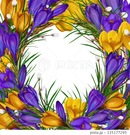 Easter square frame, banner, template with yellow and purple crocuses, willow vines, green branches Easter square frame, banner, template with yellow and purple crocuses, willow vines, green branches 135177295
