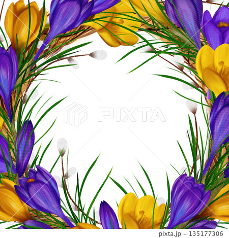 Easter square frame, banner, template with yellow and purple crocuses, willow vines, green branches Easter square frame, banner, template with yellow and purple crocuses, willow vines, green branches 135177306