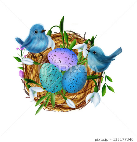 Easter composition with a nest, colourful eggs, snowdrop flowers, willow vines, blue birds 135177340