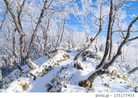 厳冬期の赤城山・霧氷の稜線（冬景色） 135177453