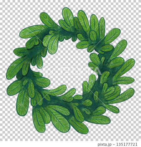 Christmas wreath made of fir branches. Hand-drawn watercolor illustration, cartoon. Design for stickers, cards, invitations. Holiday, green, element Christmas wreath made of fir branches. Hand-drawn watercolor illustration, cartoon. Design for stickers, cards, invitations. Holiday, green, element 135177721