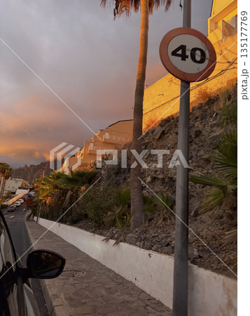 Golden hour light illuminating palm trees and a 40 km h speed sign on a roadside in Tenerife. Golden hour light illuminating palm trees and a 40 km h speed sign on a roadside in Tenerife. 135177769