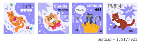 Cat cute. Pet with paw. Character happy, animal smile. Poster with kitten. Doodle background about cats day. Sticker funny cartoon, square comic cards. Vector tidy flat style isolated illustration Cat cute. Pet with paw. Character happy, animal smile. Poster with kitten. Doodle background about cats day. Sticker funny cartoon, square comic cards. Vector tidy flat style isolated illustration 135177923