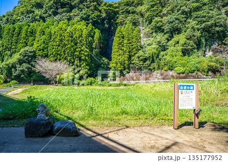 大黒天の滝（小便の滝）の風景 135177952