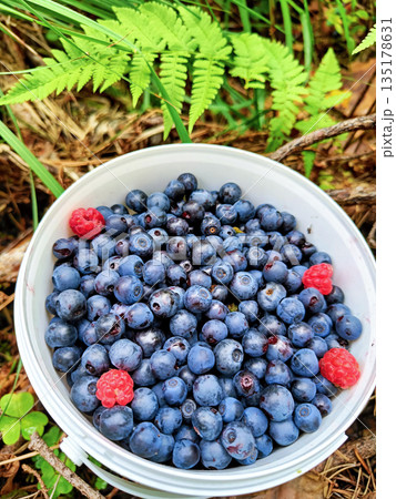 A white bowl filled with blueberries and raspberries A white bowl filled with blueberries and raspberries 135178631
