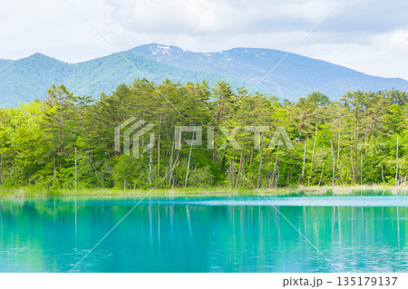 初夏の福島裏磐梯　新緑の五色沼湖沼群　弁天沼 135179137