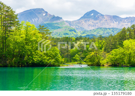 初夏の福島裏磐梯　新緑の五色沼湖沼群　毘沙門沼と磐梯山 135179180