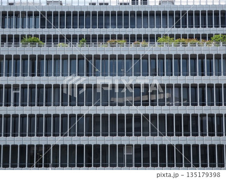 目黒区役所 村野藤吾 135179398