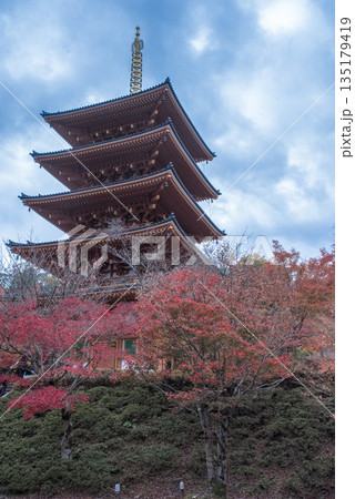 穴場の紅葉 穴場の紅葉 135179419