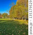 Relaxing Autumn Day in a Sunny Park 135179529
