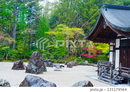 高野山 金剛峯寺の蟠龍庭 高野山 金剛峯寺の蟠龍庭 135179564
