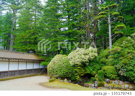 高野山金剛峯寺　高野槙のある中庭 135179743