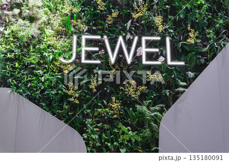 Jewel at Changi Airport Singapore featuring lush greenery and modern design 135180091