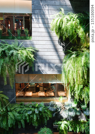 Singapore, Singapore - Lush greenery and modern architecture at Changi Airport indoor garden area 135180094