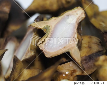 食用植物 茹でた菱の実 食用植物 茹でた菱の実 135180121