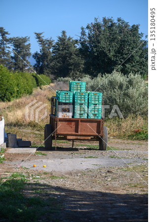 Loaded cart travels through lush farmland under a clear blue sky, showcasing rural life and agricultural beauty 135180495