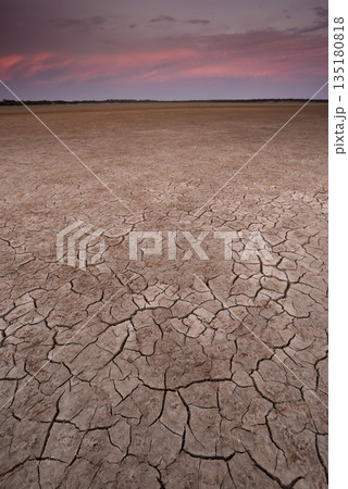 Cracked earth, desertification process, La Pampa Province, Patagonia, Argentina. 135180818