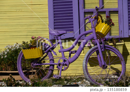 Vibrant purple bicycle adorned with flowers against a sunny yellow backdrop in a charming neighborhood setting Vibrant purple bicycle adorned with flowers against a sunny yellow backdrop in a charming neighborhood setting 135180859