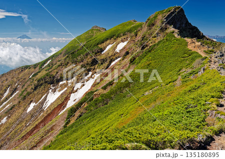 八ヶ岳連峰・横岳奥ノ院の岩峰と雲上の富士山 135180895