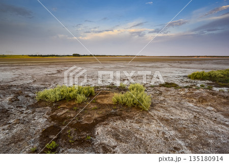Desert environment in La Pampa province, Patagonia, Argentina. Desert environment in La Pampa province, Patagonia, Argentina. 135180914