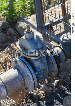 Curbside water valve surrounded by gravel and greenery in a sunlit urban setting Curbside water valve surrounded by gravel and greenery in a sunlit urban setting 135181115