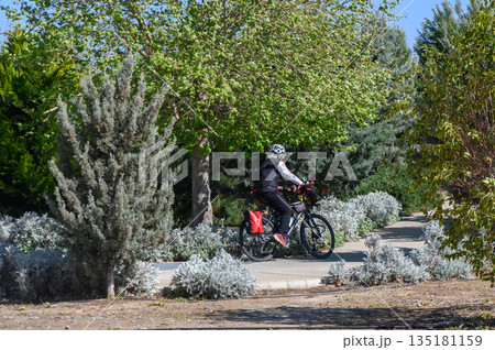 Bicyclist enjoys a sunny day riding through a lush park with vibrant greenery on a pleasant morning Bicyclist enjoys a sunny day riding through a lush park with vibrant greenery on a pleasant morning 135181159