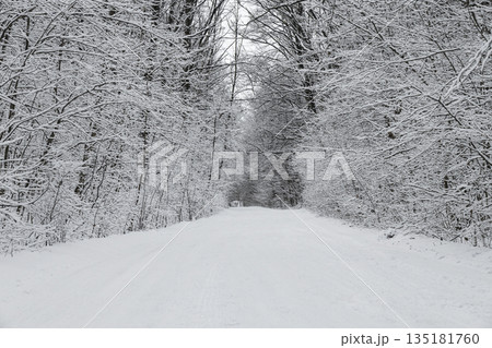 Beautiful landscape of a narrow road passing through a dense forest with trees covered in hoarfrost and snow. Perfect for winter travel and nature themes. Beautiful landscape of a narrow road passing through a dense forest with trees covered in hoarfrost and snow. Perfect for winter travel and nature themes. 135181760