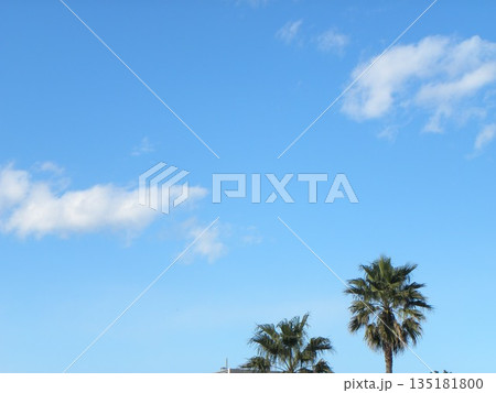 検見川浜での青空と白い雲 検見川浜での青空と白い雲 135181800