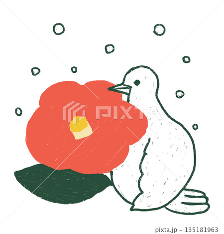 雪と椿を持つ白い鳥のやさしいイラスト素材　おたより　お知らせ　冬 135181963