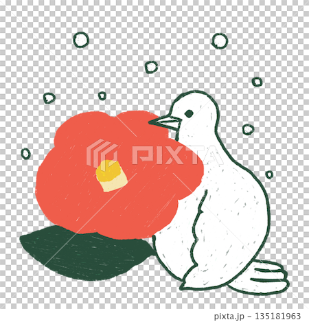 雪と椿を持つ白い鳥のやさしいイラスト素材　おたより　お知らせ　冬 135181963